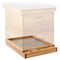 Honey Keeper Beehive Screened Bottom Board Dipped in 100% Beeswax for Langstroth Beekeeping